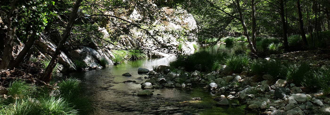 Tassajara Zen Mountain Center campus