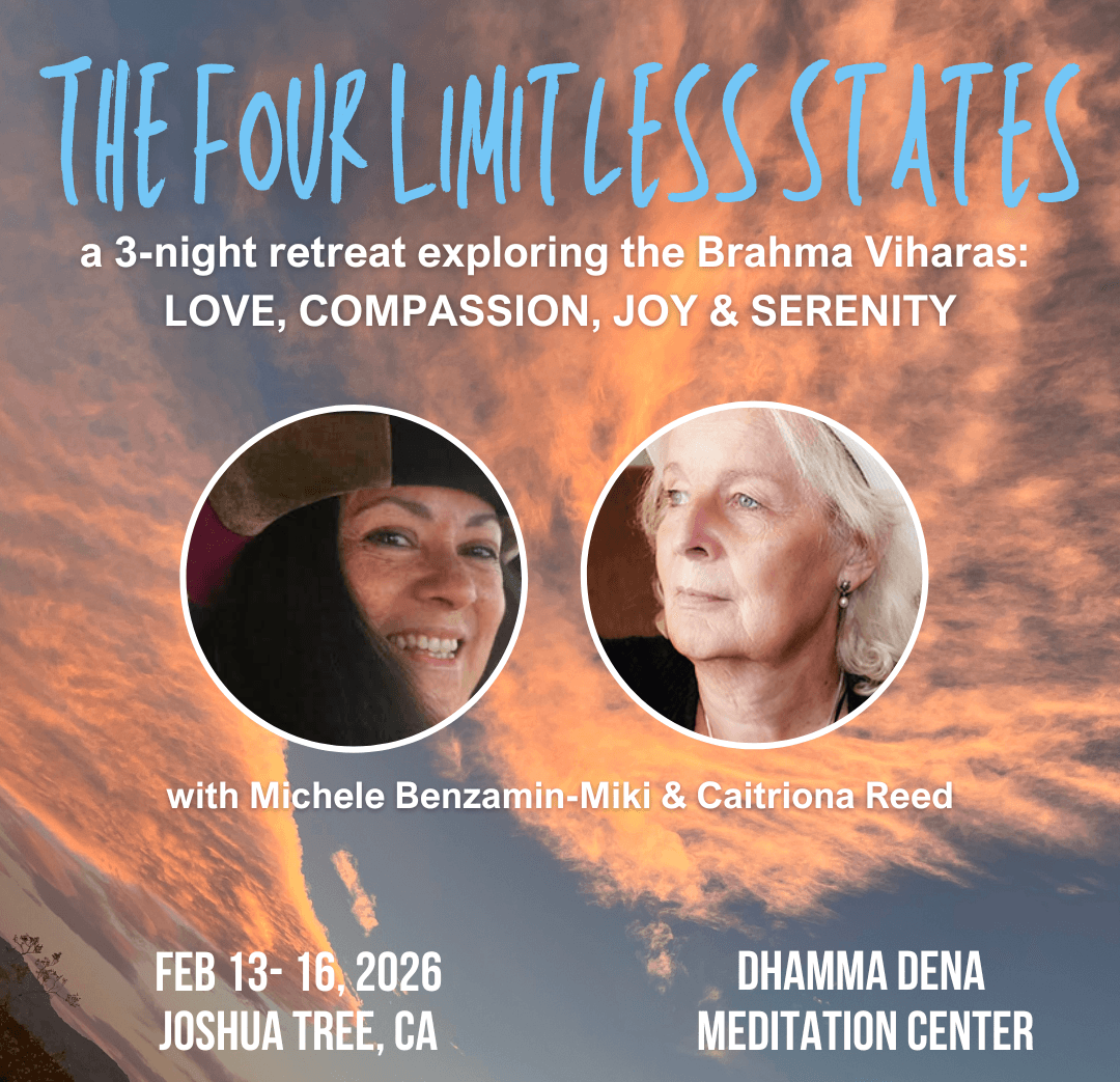 The Four Limitless States