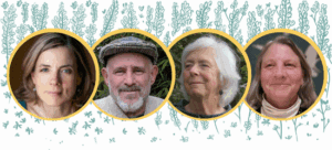 The Original Body Scan: Discovering Freedom within the Body