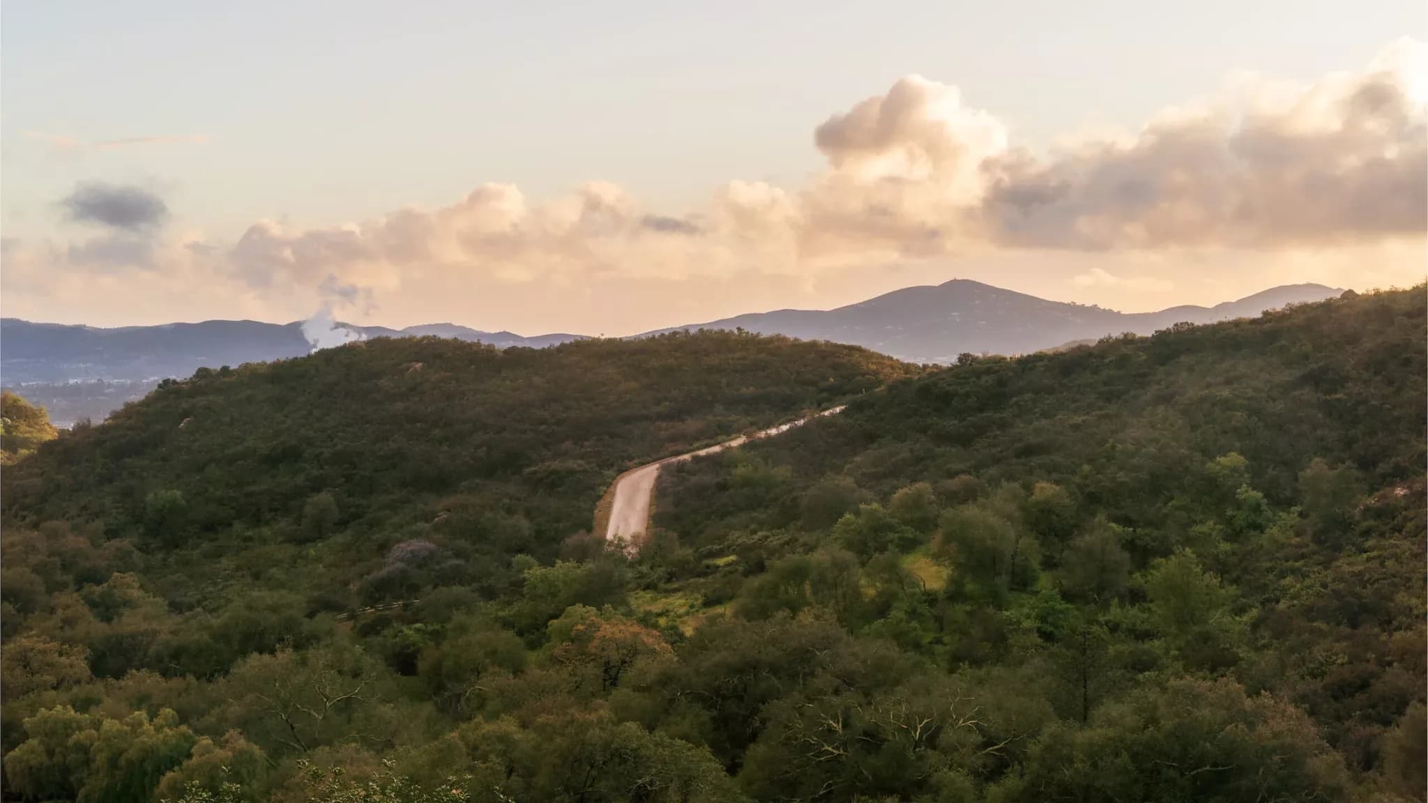 No Day of Mindfulness