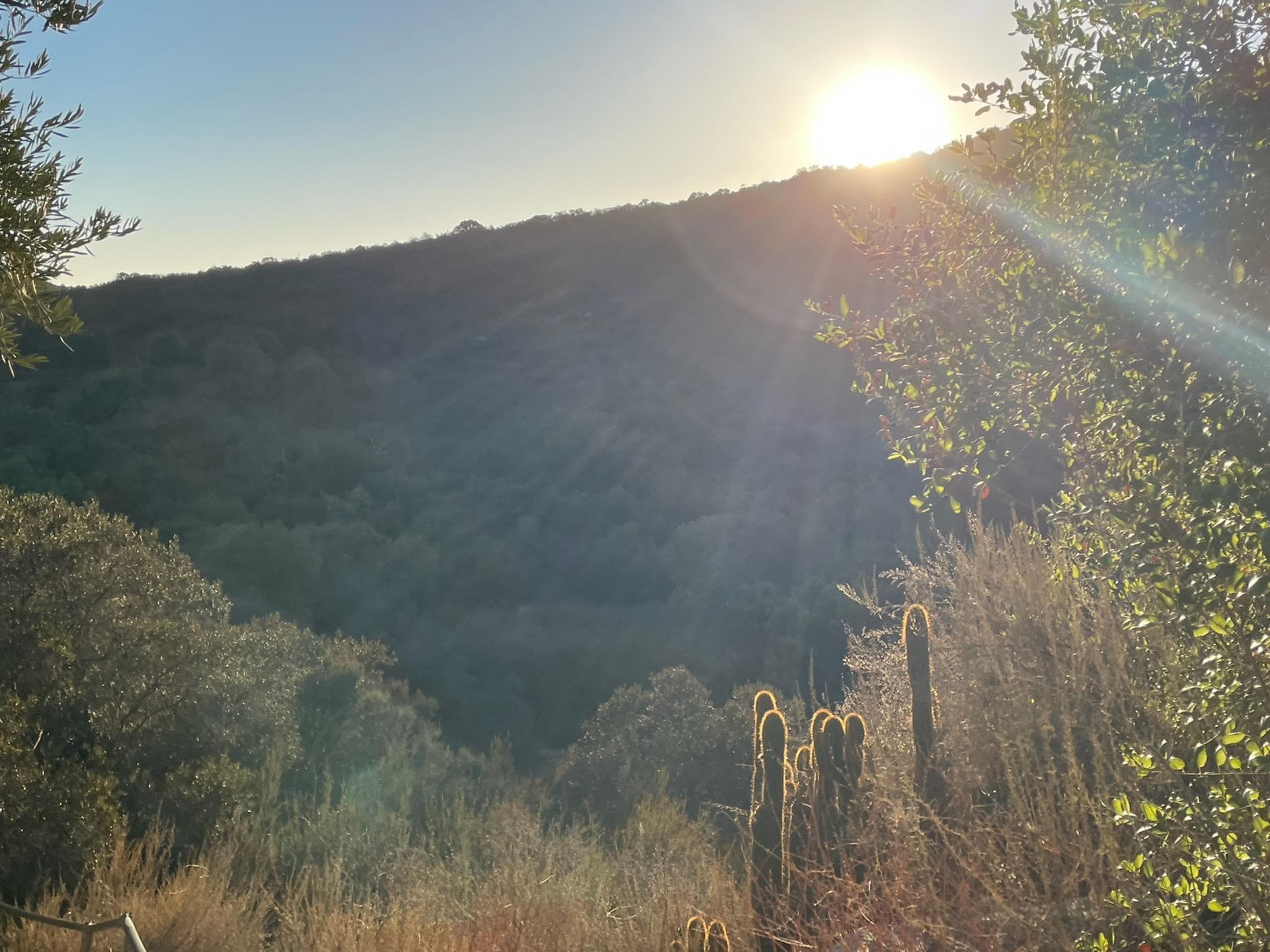 Closing of the Rains Retreat