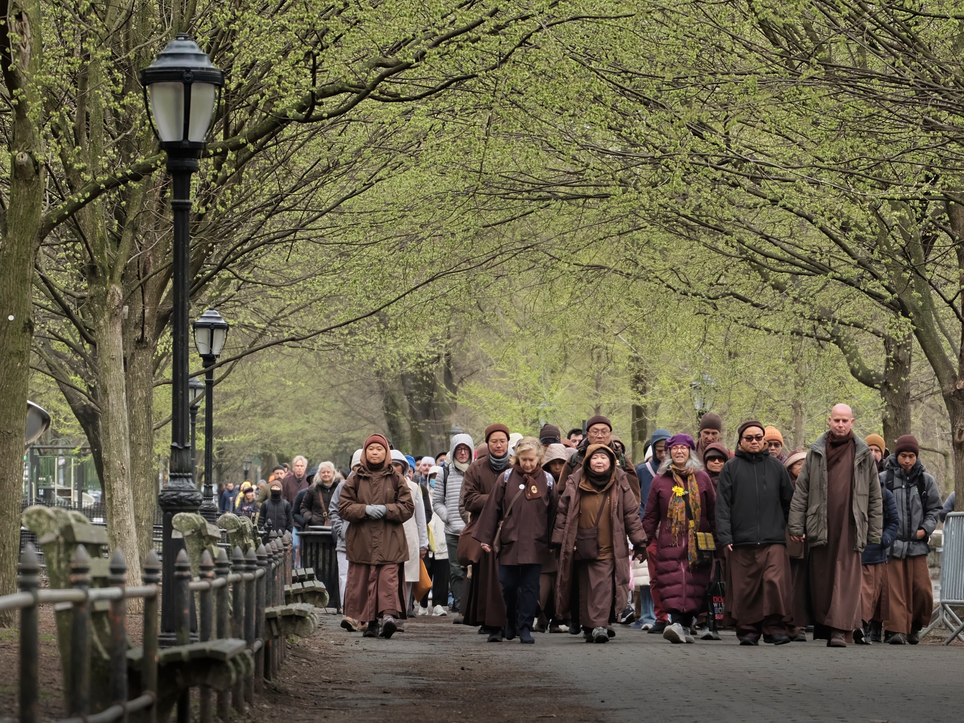 Mindful Walk & Hiking Zen Book Signing in New York