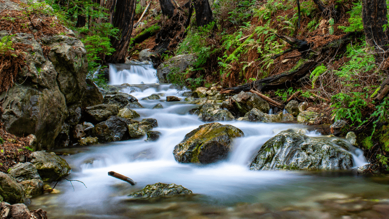 Being With the Body in Depth Psychology: Trauma and its Transformation in the Unspoken Realm