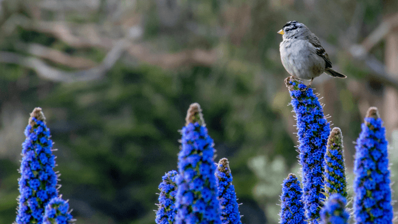 Being Present for Your Life: Introduction to Mindfulness Meditation
