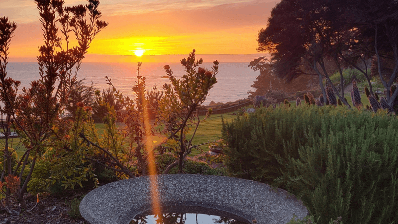 Attuning to Love: A Sonic Sanctuary for Your Heart with Crystal Singing Bowls