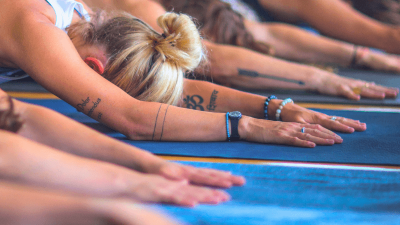 Metta and the Divine Abodes: Meditation, Yoga, and Wisdom to Live a Better Life