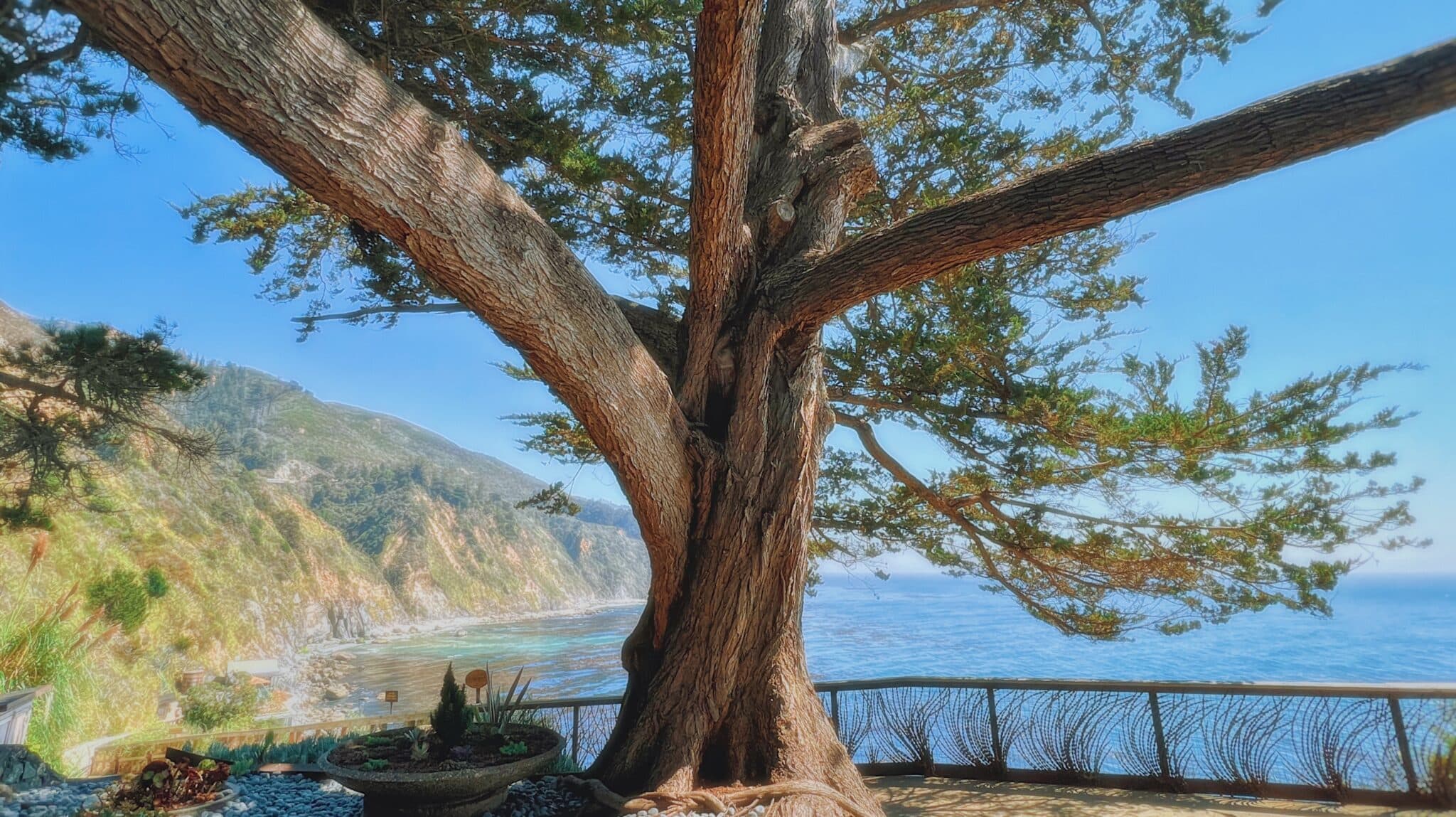 Working in Three-Dimensional Space: Psychodrama for What Was Missing