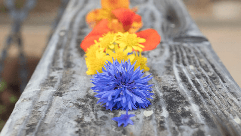 Reawaken Your Creative Process: Reclaim Your Voice and Remember Your Creative Power