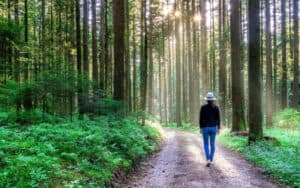 Forest Bathing: Find Yourself in Nature