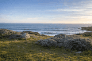 The Six Paramitas: Leading Your Life with Purpose and Clarity